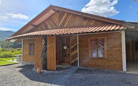 Casa Ypê Amarelo 1